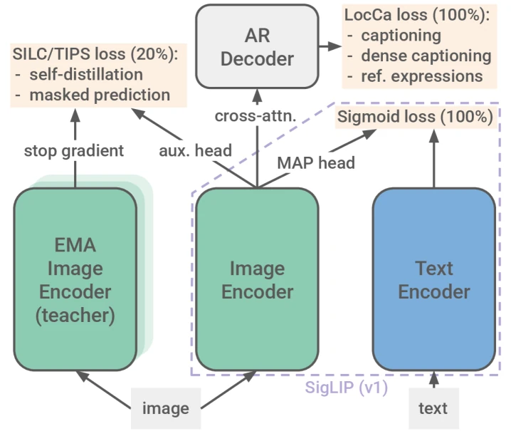 SigLIP 2 在 SigLIP 双塔上加入 LocCa decoder 与自监督 teacher